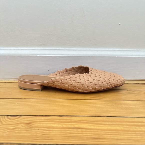 LOQ Slides - Picture 4 of 8